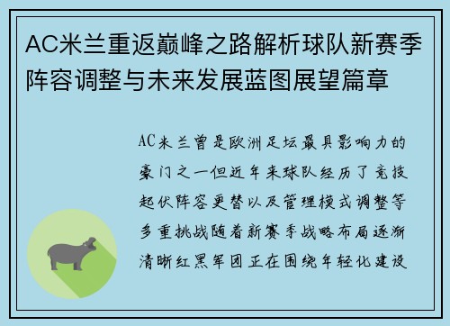 AC米兰重返巅峰之路解析球队新赛季阵容调整与未来发展蓝图展望篇章